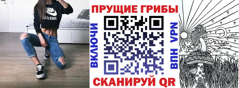 Галлюциногенные грибы мицелий  Купить закладки  Ковылкино 